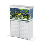 Aquarium avec meuble Emotions Nature One 100 en bois blanc 209 litres