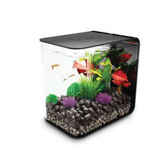 Aquarium Biorb Flow, noir - 15 litres