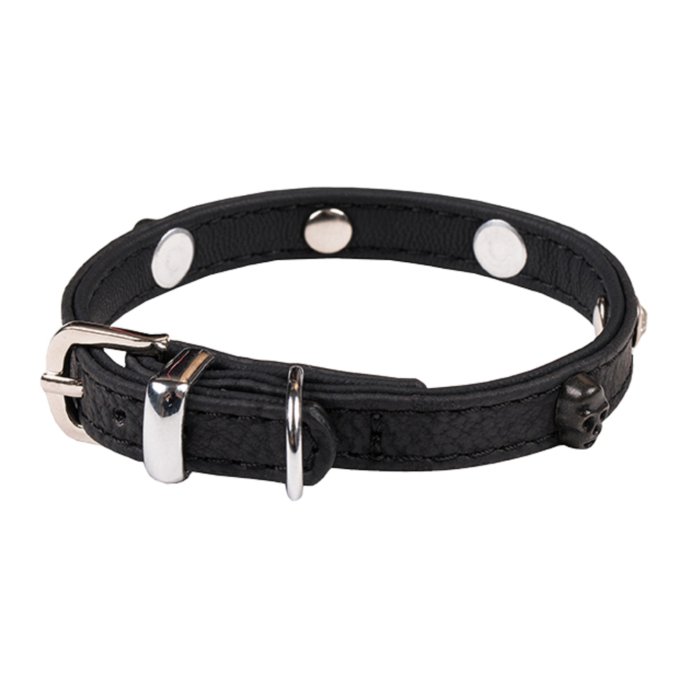 Collier chien Rock Petmini,Simili cuir, noir : L. 25 cm x l.10 mm