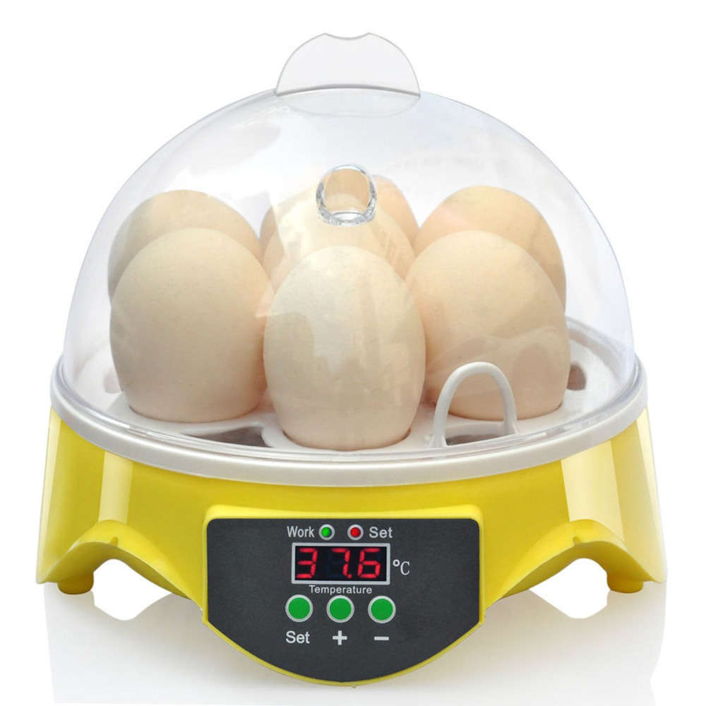 Couveuse,incubateur manuelle : 7 œufs de poule
