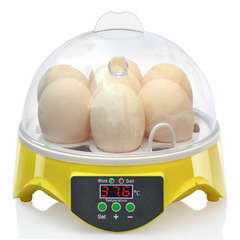 Couveuse,incubateur manuelle : 7 œufs de poule