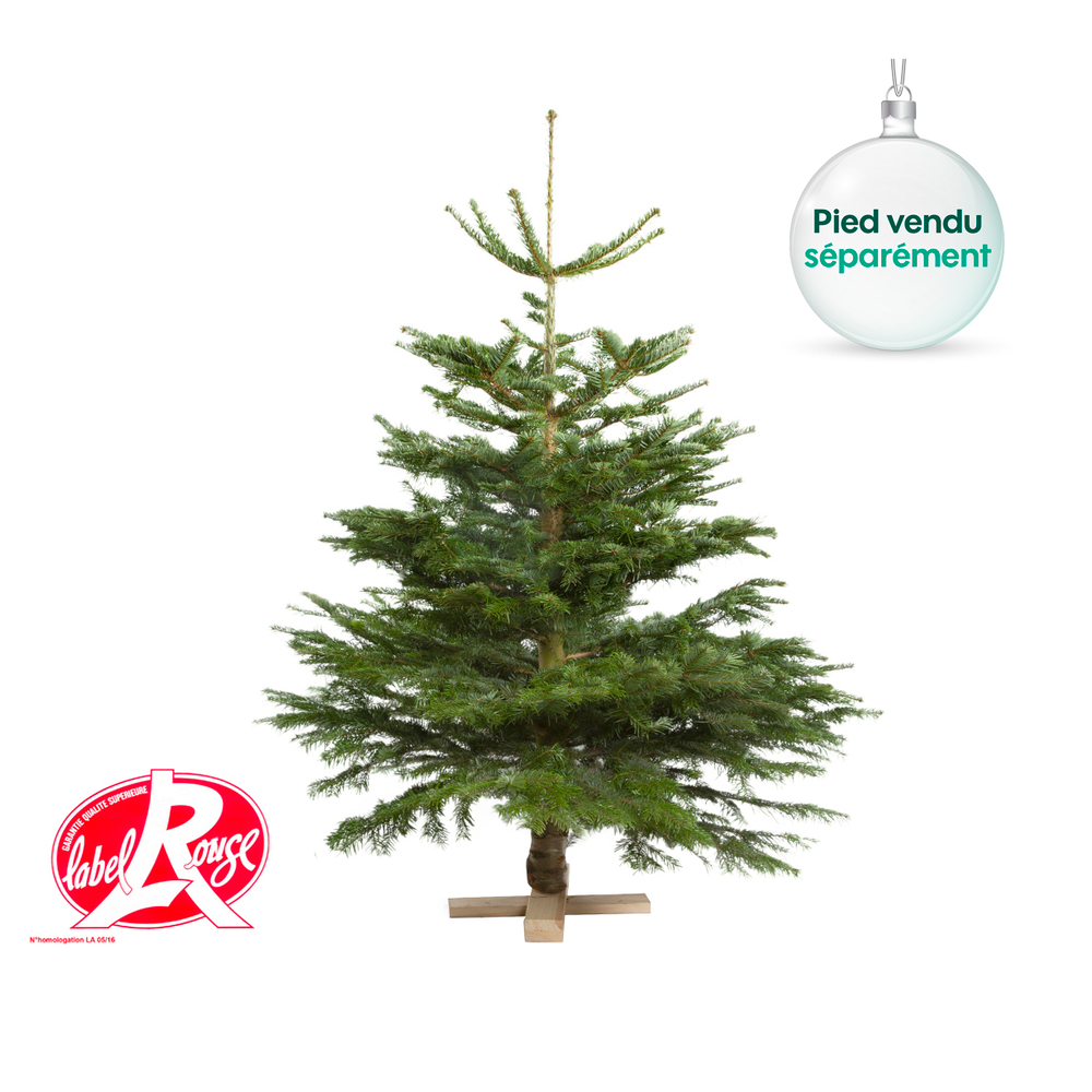 Sapin de Noël naturel Abies nordmann - Label Rouge : 125/150 cm coupé