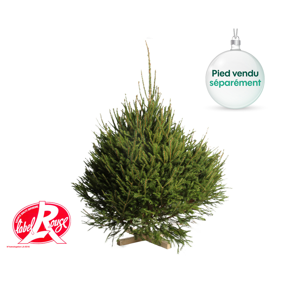 Sapin de Noël naturel Abies nordmann - Label Rouge : 125/150 cm coupé