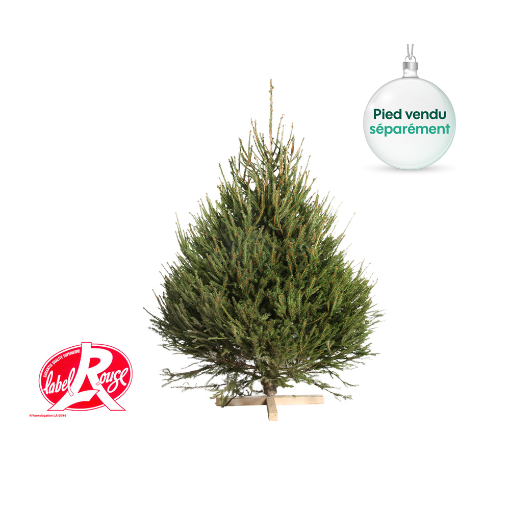 Sapin de Noël naturel Picea excelsa - Label Rouge: 150/175 cm coupé