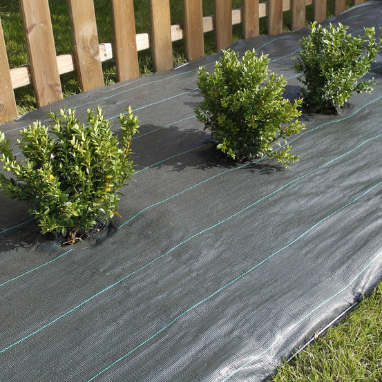 Toile de paillage 1,25x25m vert