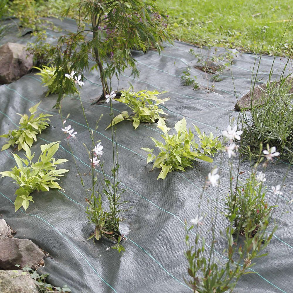 Toile de paillage 2,1x25m vert