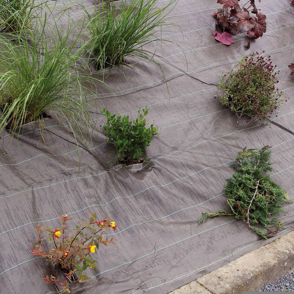 Toile de paillage 2,1x25m marron