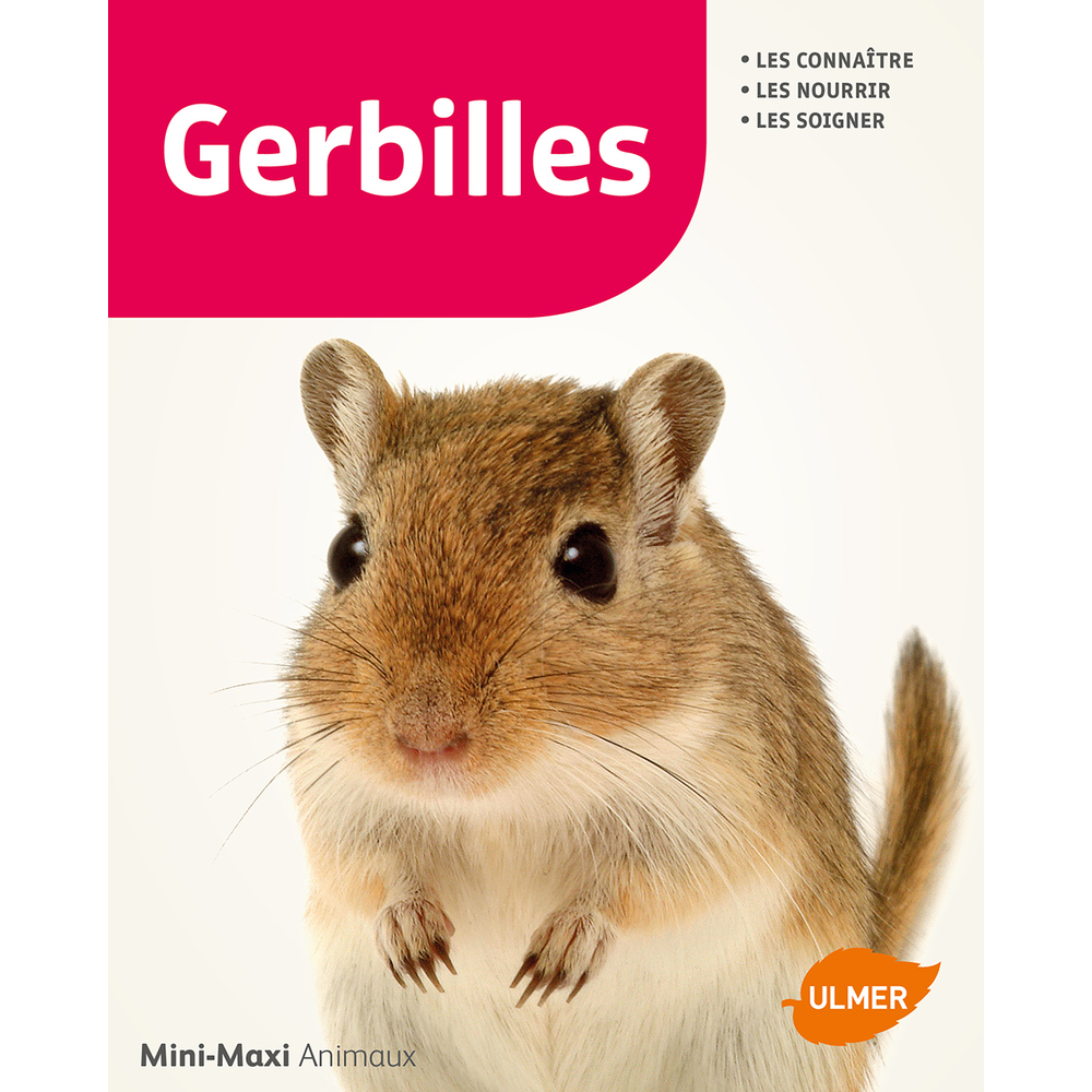 Livre animalerie: Les gerbilles Mini-Maxi