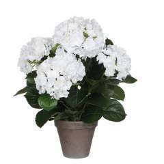 Plante artificielle : Pot hortensia blanc D.13,5 x H.45 cm