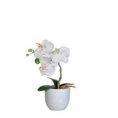 Plante artificielle : Pot phalaenopsis blanc H.26 cm
