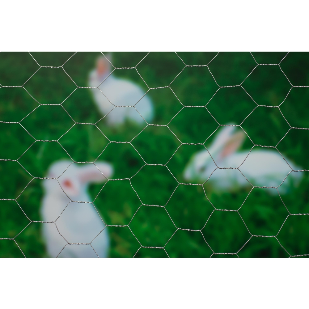 Grillage maille hexagonale, acier galvanisé (13mm) - l.500 x H.50 cm