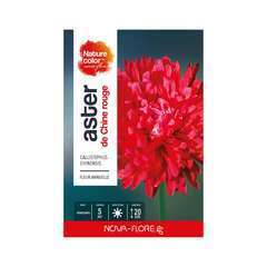 ASTER DE CHINE ROUGE NC-(643223)