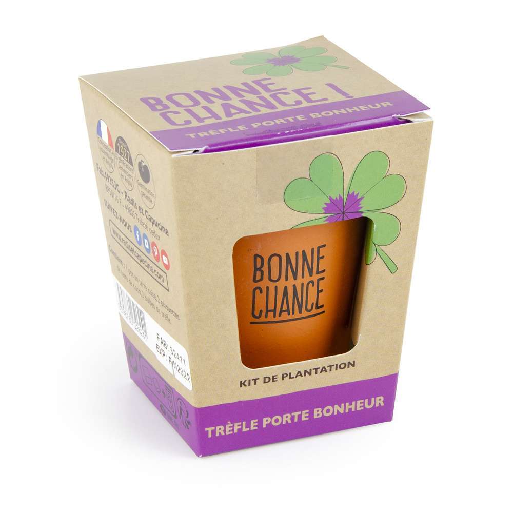 Kit Bonne chance Trèfle à 4 feuilles