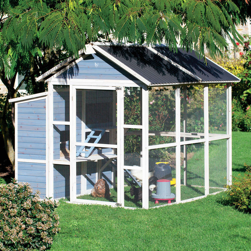 Poulailler Gros chou : L223xl185,5xh186 cm