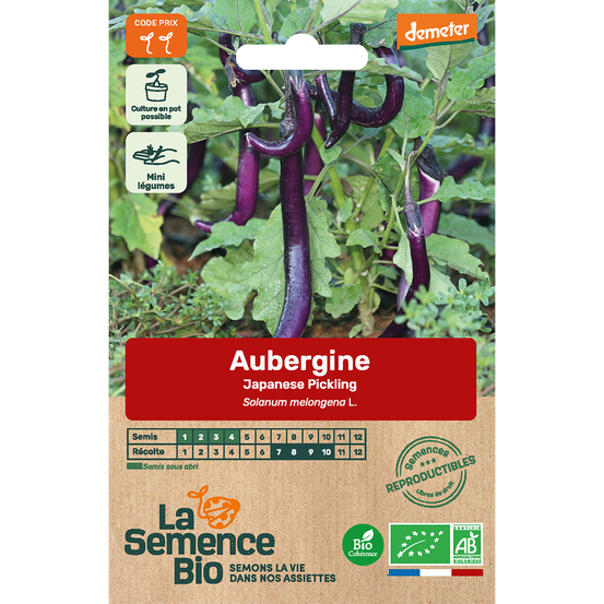 Graines potagères Aubergine Japanese Pickling Bio en sachet