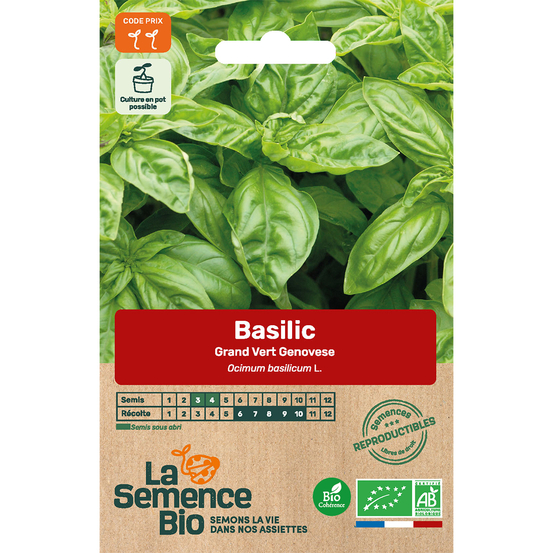 Graines potagères basilic Genovese type Grand'vert Bio en sachet