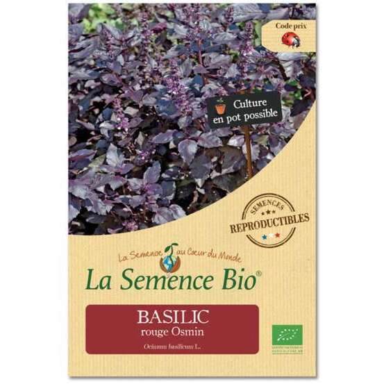 Graines potagères basilic rouge Osmin Bio en sachet