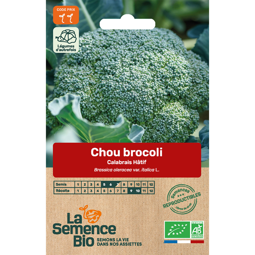 BROCOLI CALABRAIS HATIF BIO-(645137)