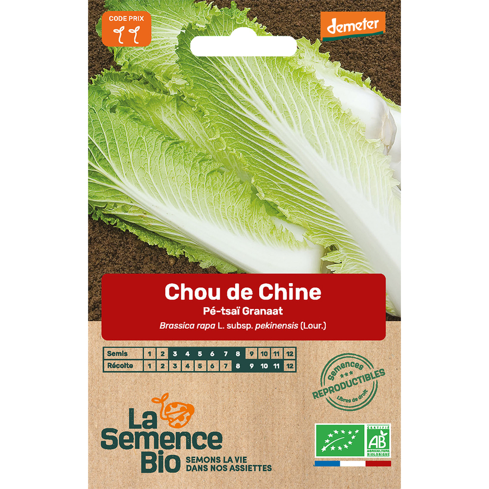 Graines potagères chou de Chine Pé-tsaï Granaat Bio en sachet