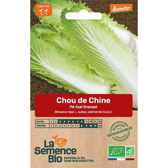 Graines potagères chou de Chine Pé-tsaï Granaat Bio en sachet