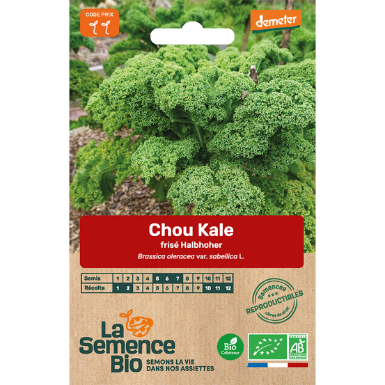 Graines potagères chou Kale Halbhoher Bio en sachet