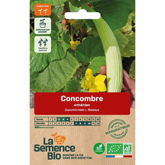 Graines potagères concombre arménien Bio en sachet