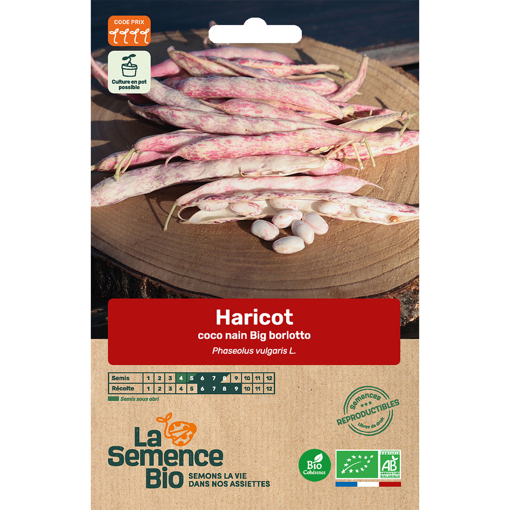 Graines potagères haricot coco nain Big Borlotto Bio en sachet