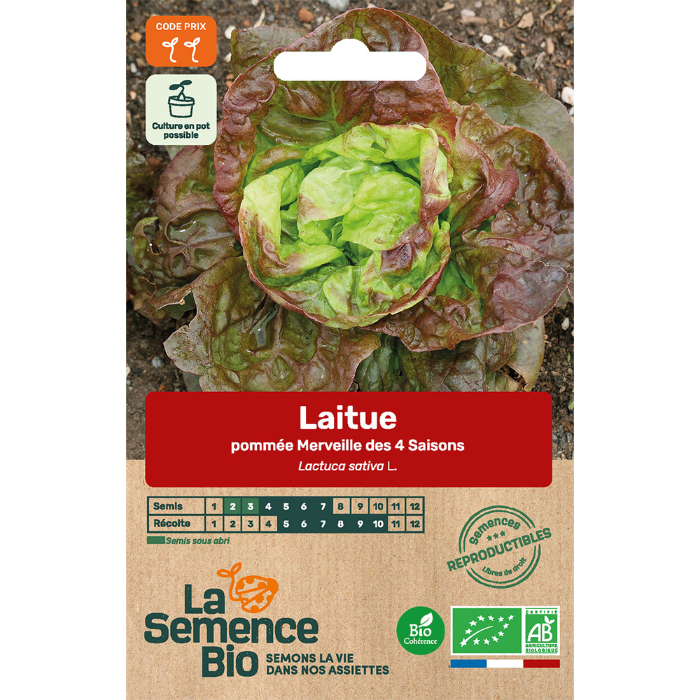 Graines potagères laitue Merveille des quatre saisons Bio en sachet