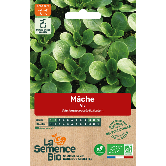 Graines potagères Mâche Vit Bio en sachet