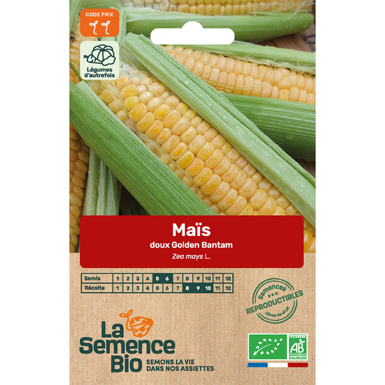 Graines potagères maïs Doux Golden Bantam Bio en sachet