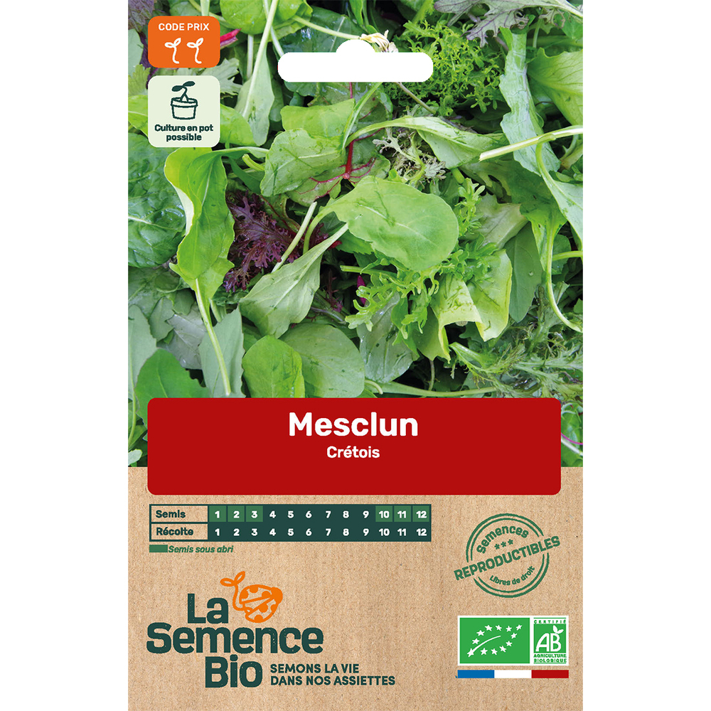 Graines potagères Mesclun Crétois Bio