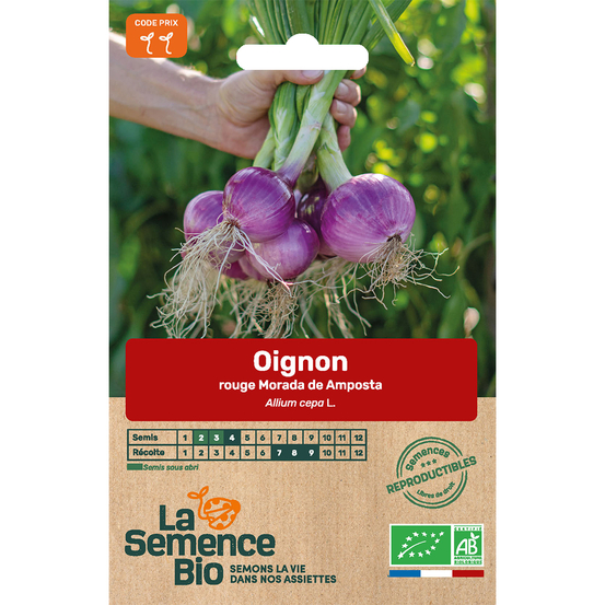 Graines potagères Oignon rouge Morada de Amposta Bio en sachet