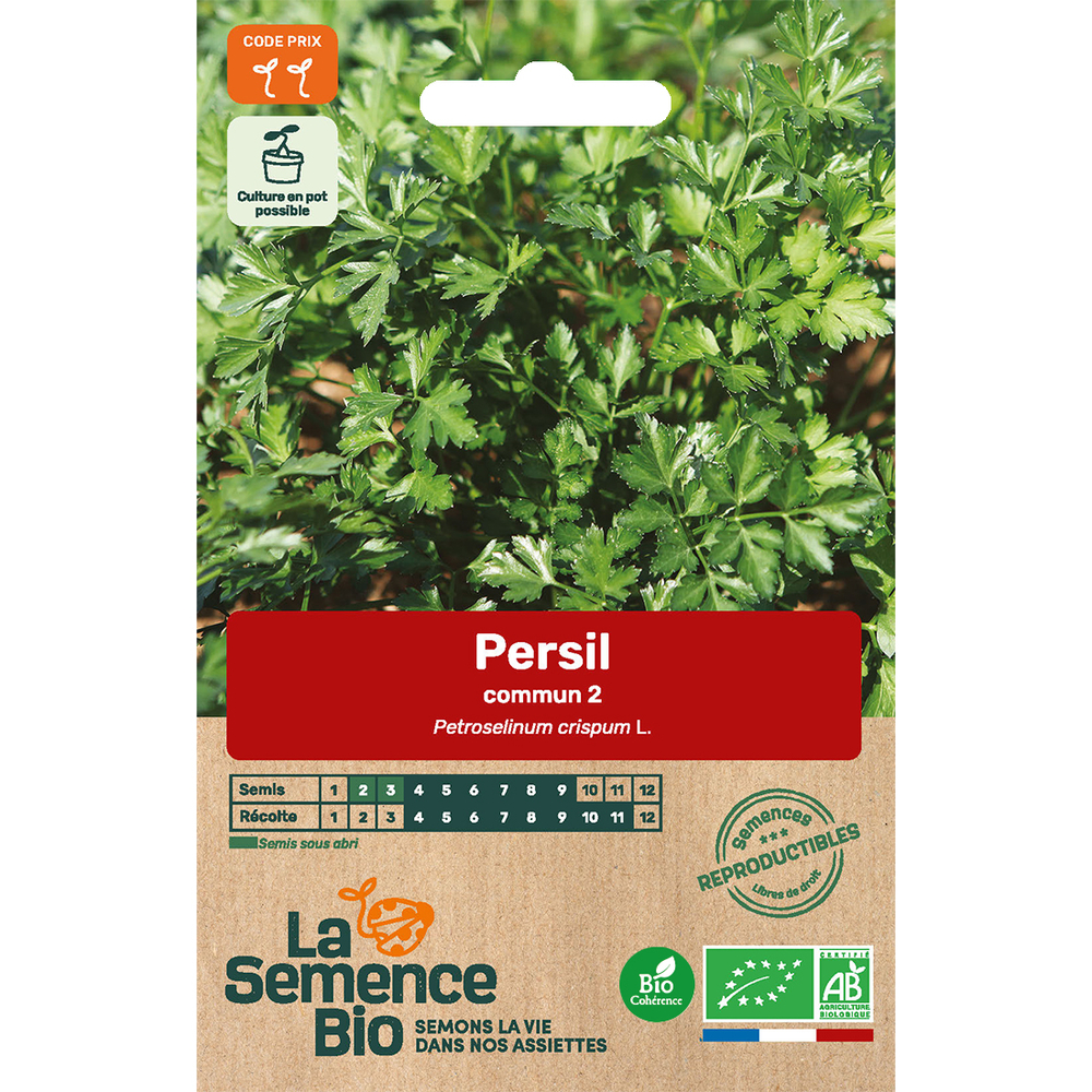 Graines potagères persil commun Bio en sachet