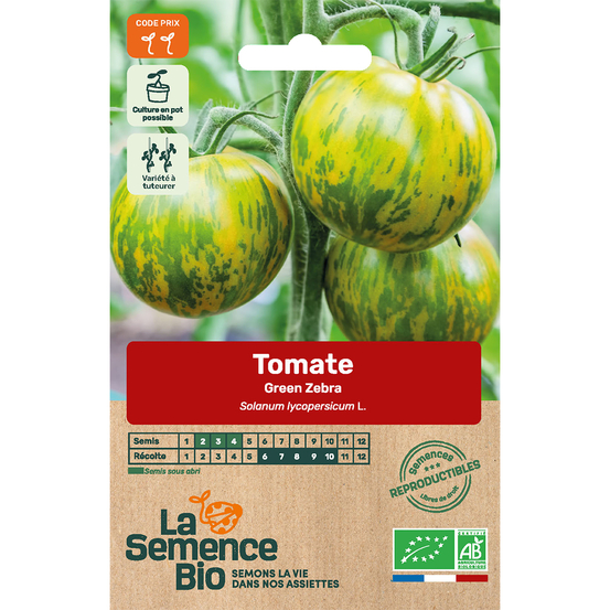 Graines de tomate Green Zebra Bio en sachet