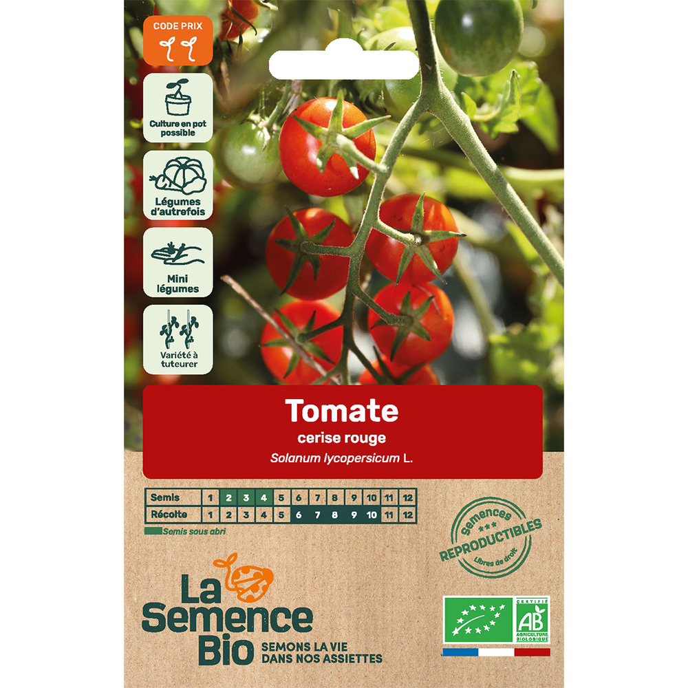 Graines de tomate Cerise Rouge Bio en sachet