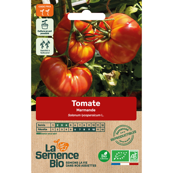 Graines de tomate Marmande VF Bio en sachet