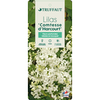 Syringa vulgaris 'Comtesse d'Harcourt': C5L