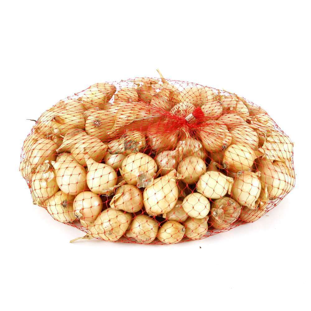 Bulbes d'oignons 'Riesen' en filet - 500 g