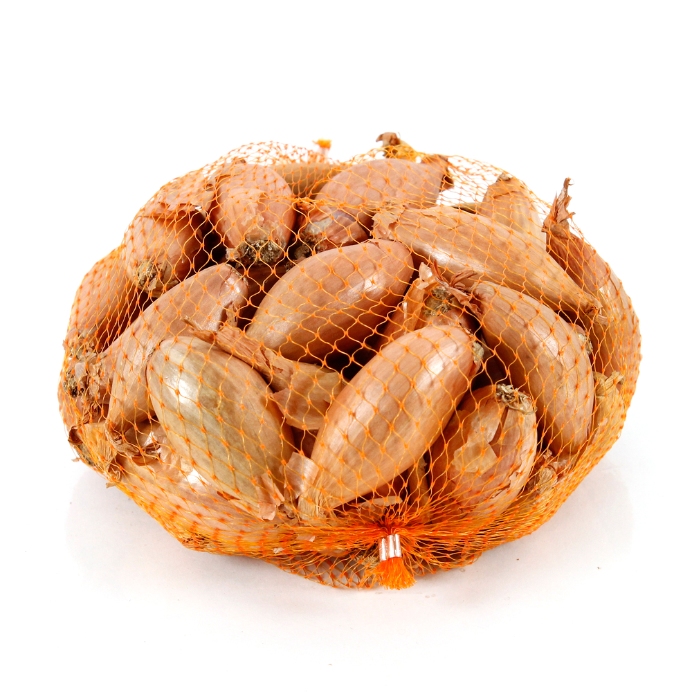 Bulbes d'échalotes 'Longor' en filet - 500 g