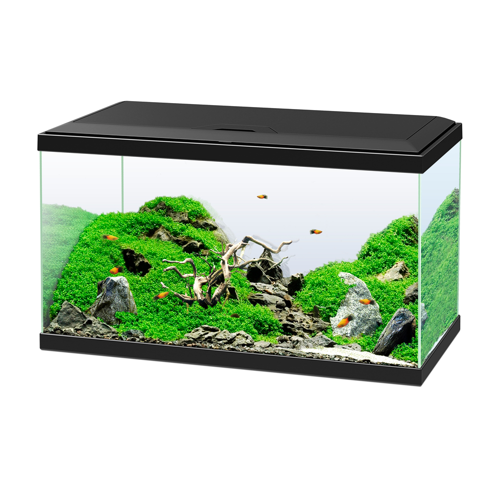 Aquarium CF - 58 Litres