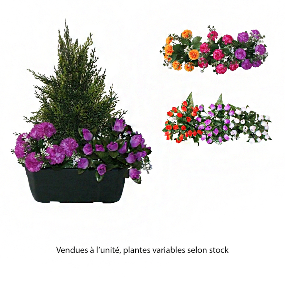 Jardinière de cyprès/œillets/mini roses assortis, 25xH40cm (1,5kg)