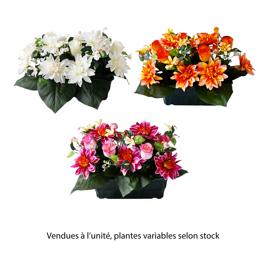Jardinière de 26 rose/dahlia/orchidee, H27cm - L30cm (2,5kg)