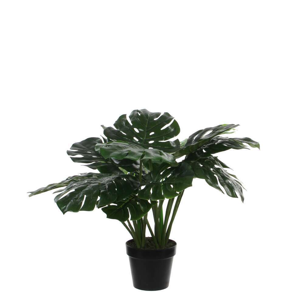 Monstera artificiel, en pot H60cm