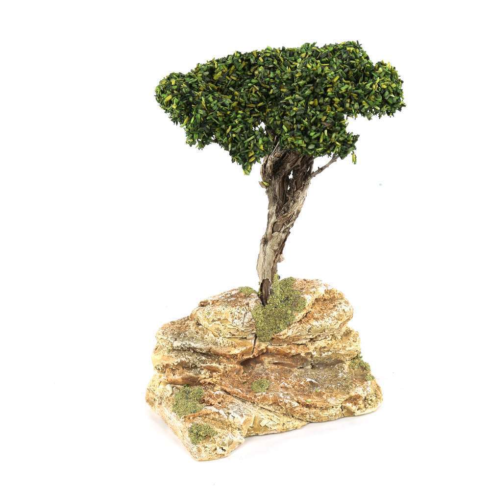 Arbre Pin Parasol sur socle décoré