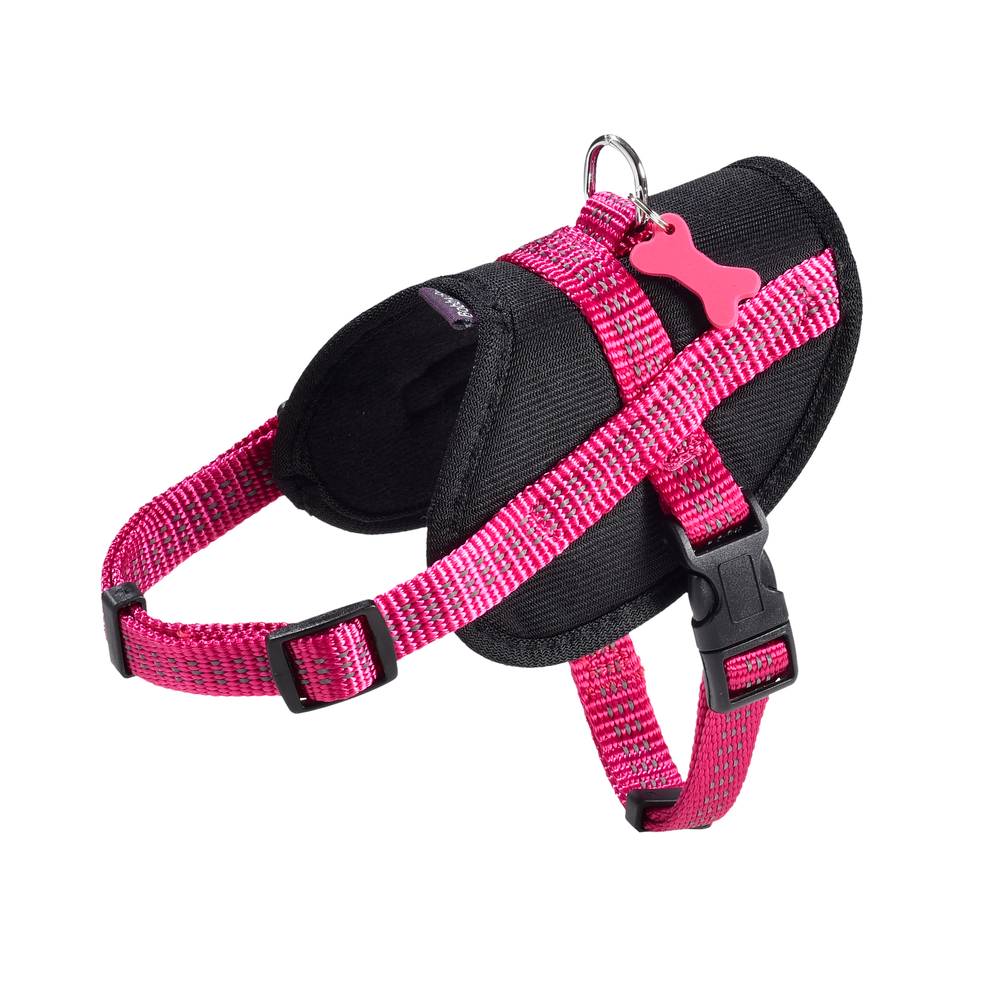 Harnais Easy de la collection Safe, couleur fuschia et taille L