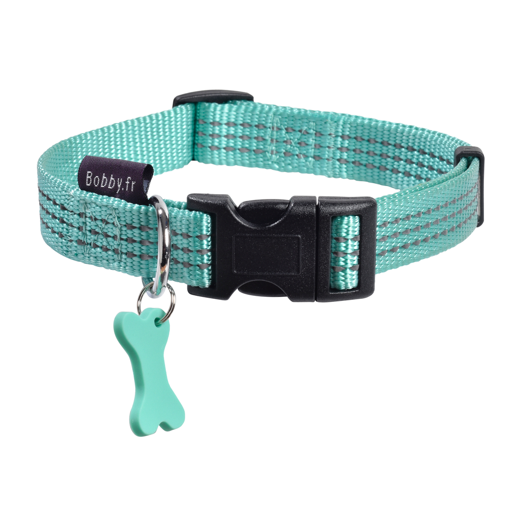 Collier Safe pour chien de couleur lagon et de taille 25