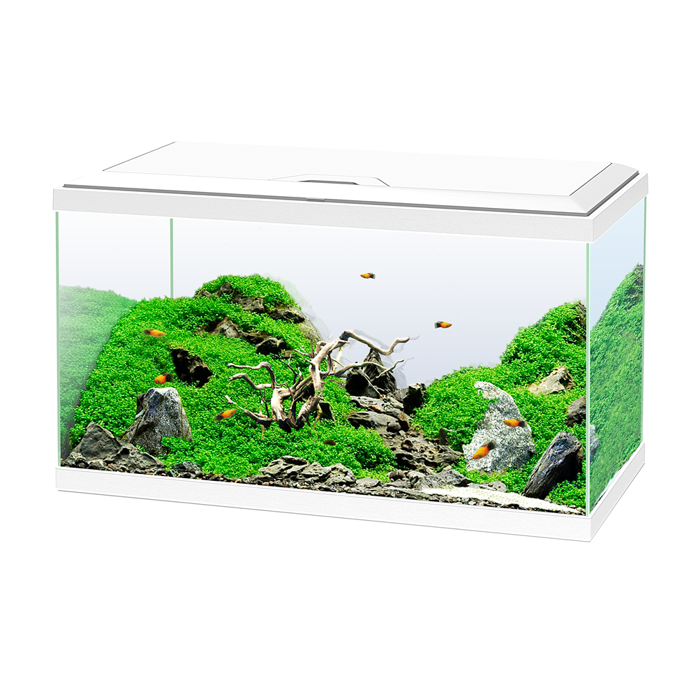 Aquarium Ciano - 58 Litres