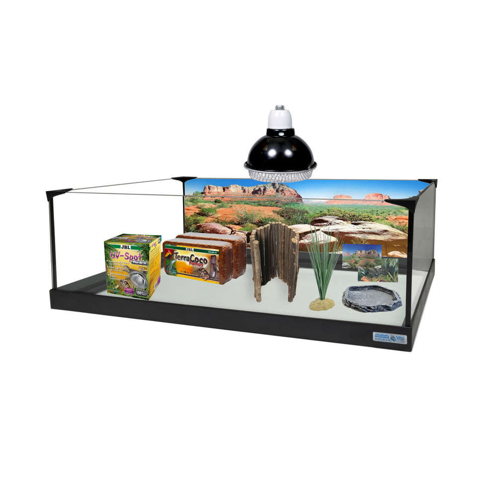 Kit pour tortue terrestre: Terrarium (L80x35xH25cm) équipé