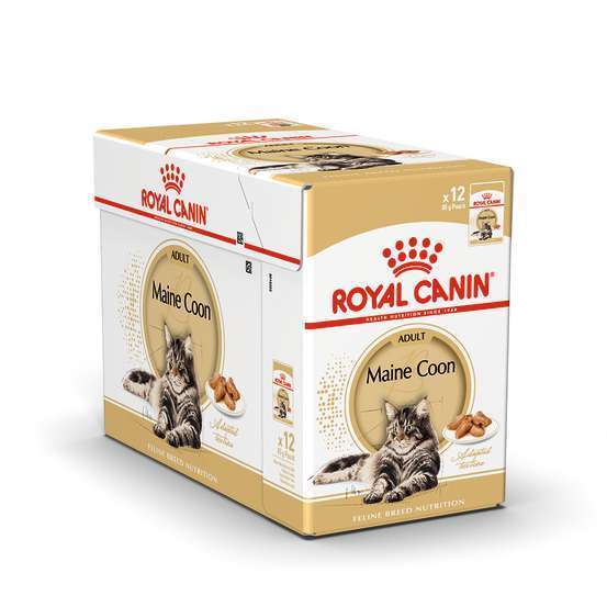 Sachet maine coon adult - 12x85g