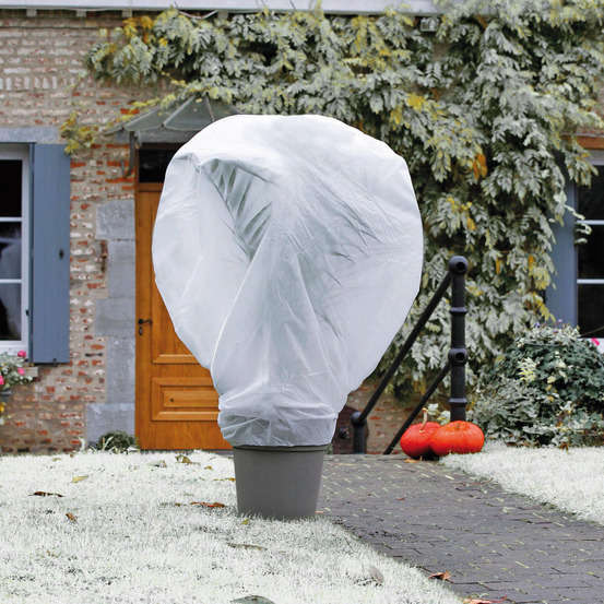 Voile d'hivernage Wintertex en polypropylène non tissé 30g/m² - 2x5m  Nortene